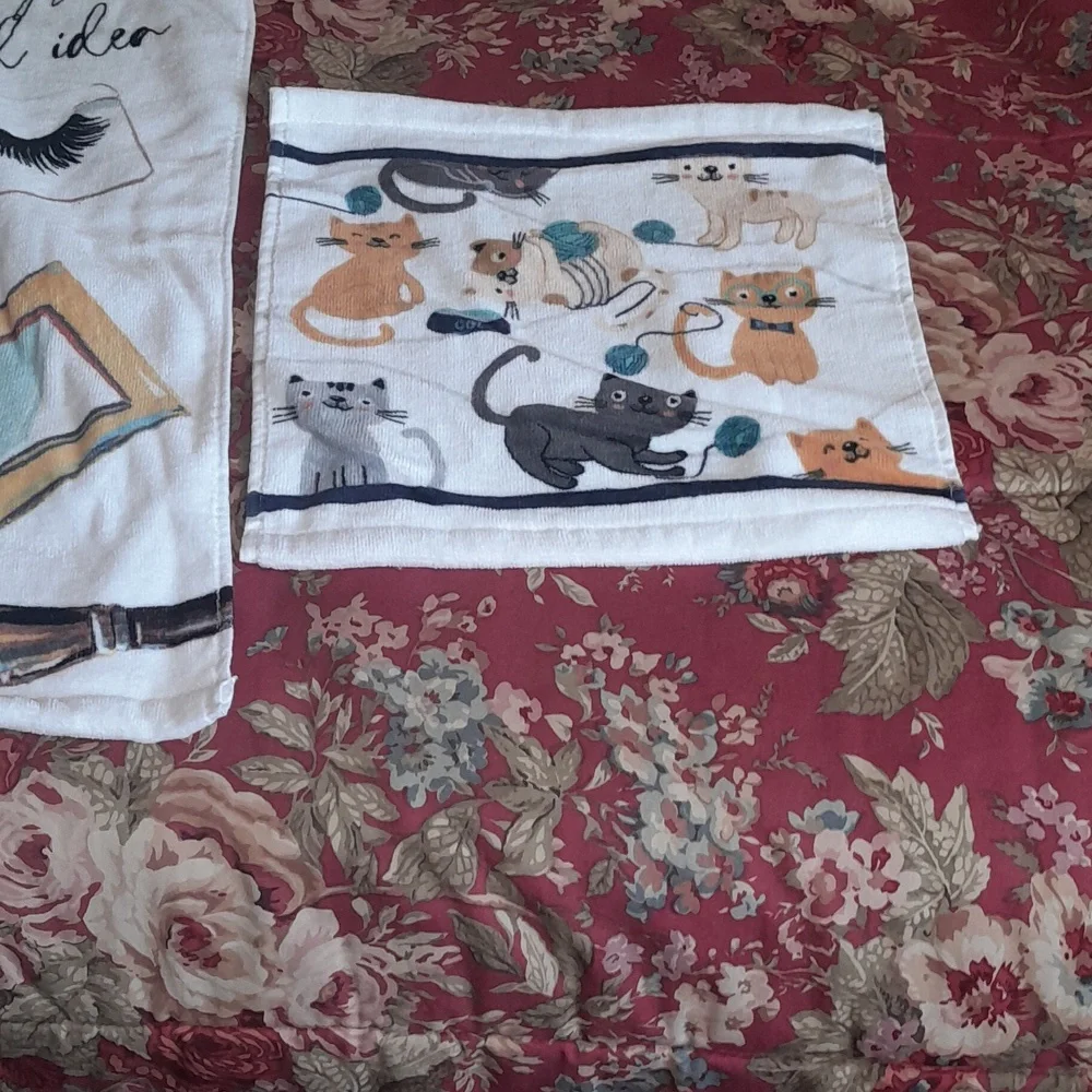 🌺NEW Makeup Themed Blanket & Cat Washcloth